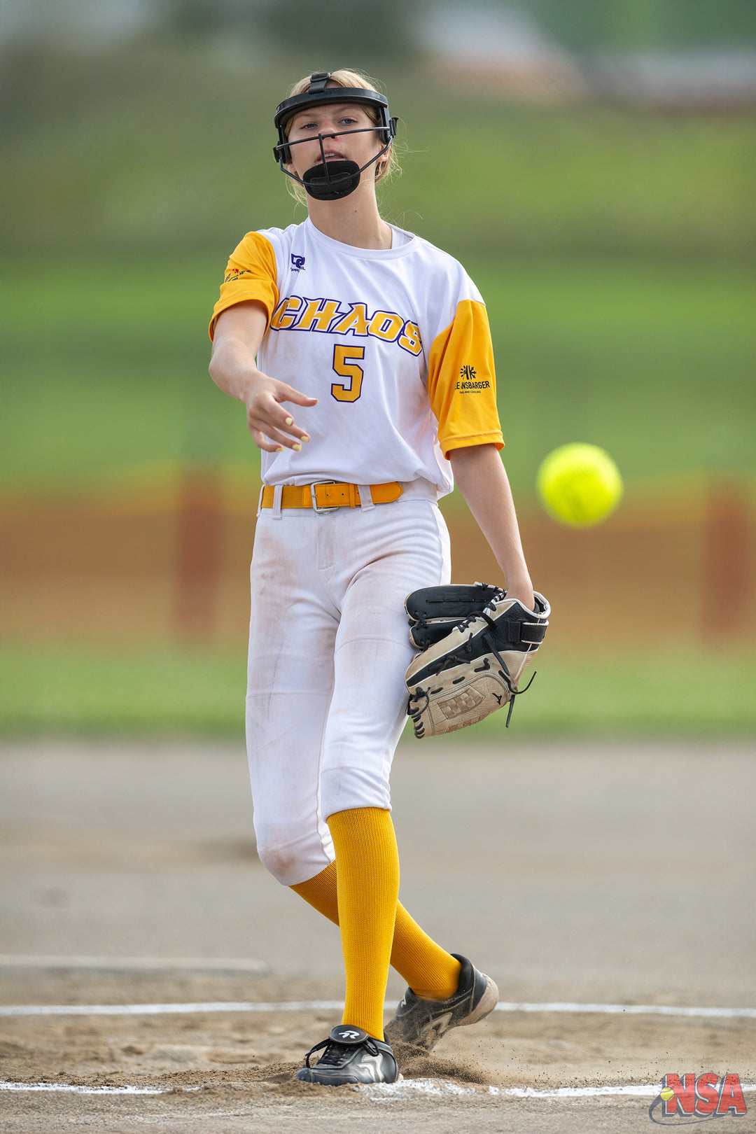 2026 NSA Michigan Classic Michigan Fastpitch Tournament (Potterville)