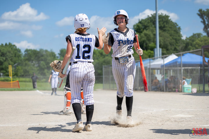 2026 NSA Michigan Classic Michigan Fastpitch Tournament (Potterville)