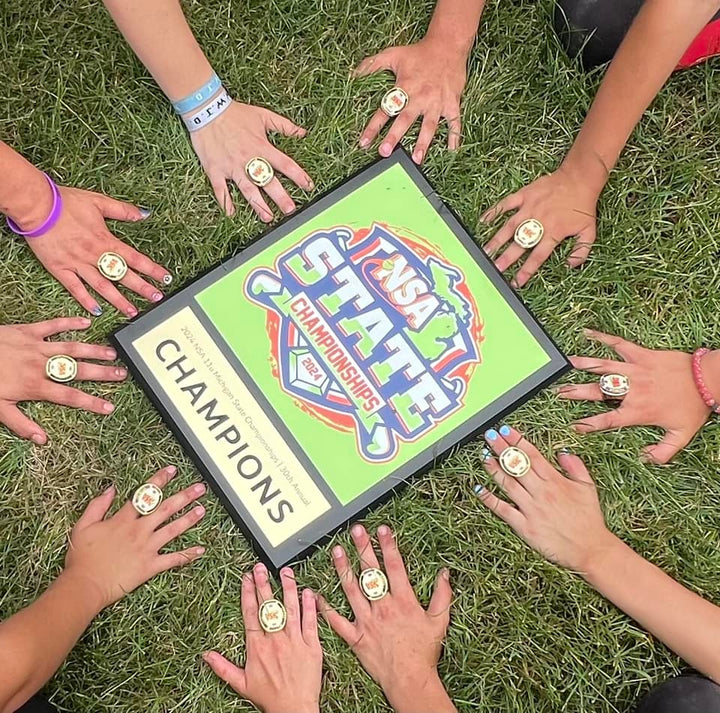 2026 NSA Michigan "B" & "Open" State Championships Fastpitch Tournament