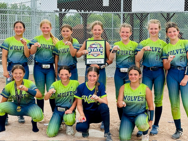 2026 NSA Michigan "B" & "Open" State Championships Fastpitch Tournament