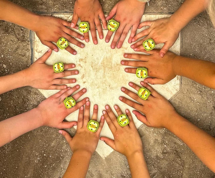 2026 NSA Fastpitch Challenge Michigan Fastpitch Tournament (Potterville)