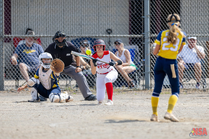 2026 NSA Michigan "B" & "Open" State Championships Fastpitch Tournament