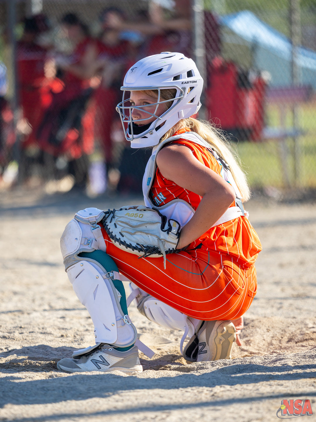 2026 NSA Michigan "C", 8u & 9u State Championships Fastpitch Tournament