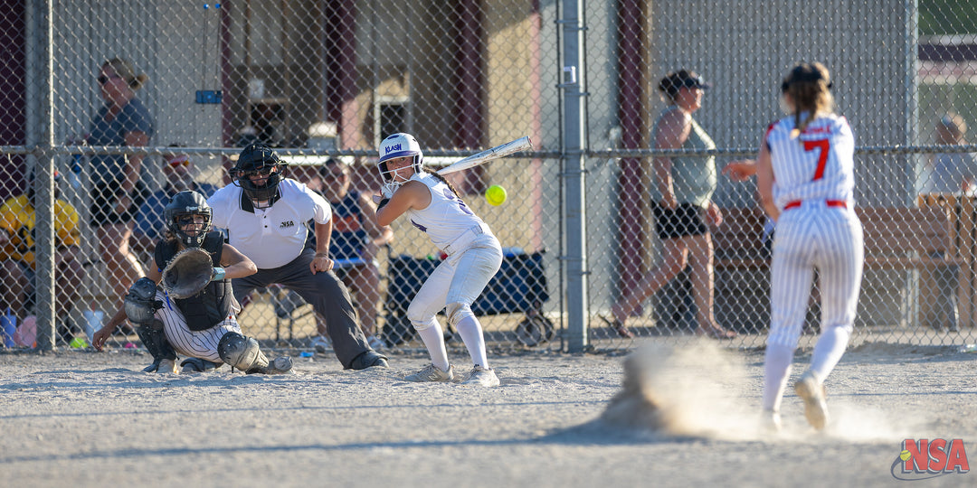 2026 NSA Mitten Mayhem Michigan Fastpitch Tournament (Potterville)