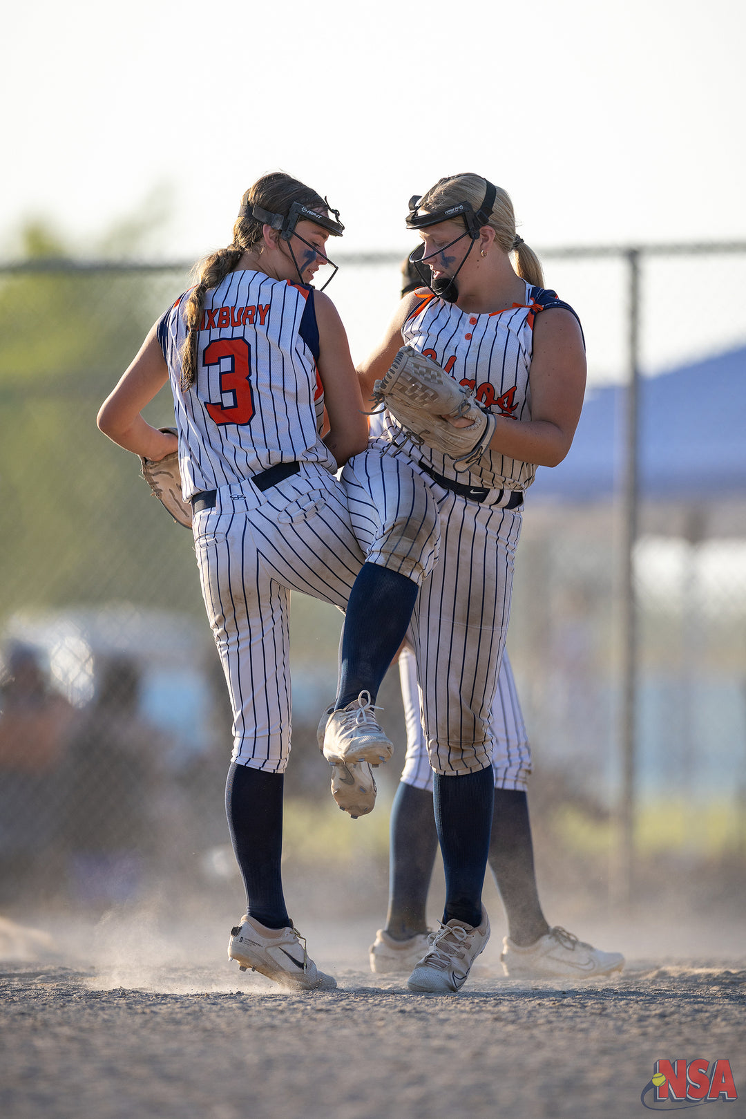 2026 NSA Mitten Mayhem Michigan Fastpitch Tournament (Potterville)
