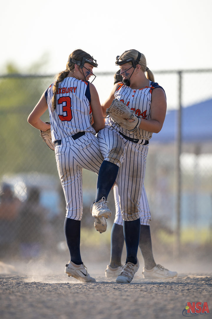 2026 NSA Mitten Mayhem Michigan Fastpitch Tournament (Potterville)