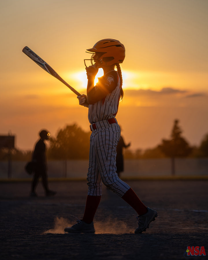 2026 NSA Michigan "C", 8u & 9u State Championships Fastpitch Tournament