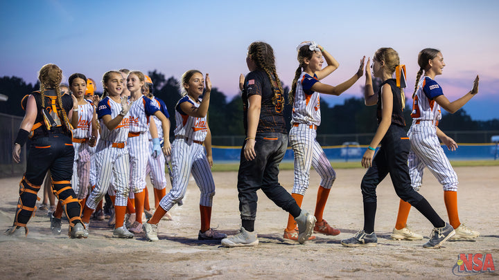 2026 NSA Michigan "C", 8u & 9u State Championships Fastpitch Tournament