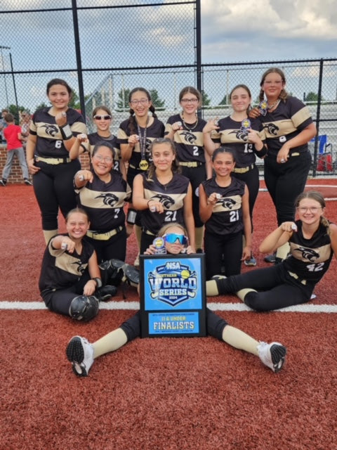 2025 NSA Northern World Series Fastpitch Tournament